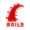 Ruby on Rails logo