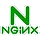 Nginx logo
