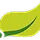 Spring Data logo