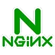 Nginx logo