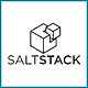 Salt logo