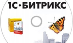 1С - Битрикс. Быстрый старт разработчика