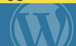JavaScript для WordPress