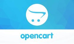 Интернет магазин с Opencart