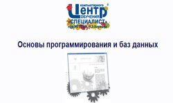 Основы программирования и баз данных