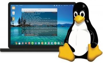 ПодготовительныйкурсLinux