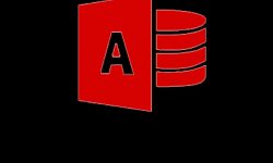 MS Access 2016