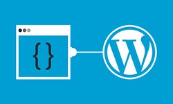Введение в разработку плагинов WordPress