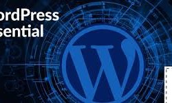 WordPress Essential