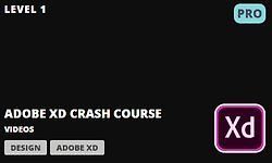 Adobe XD: Ускоренный Курс