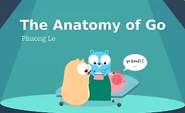 Анатомия Go