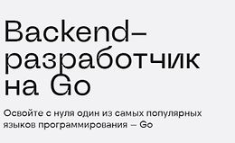Backend-разработчик на Go logo
