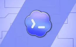 Codex: Практическое руководство