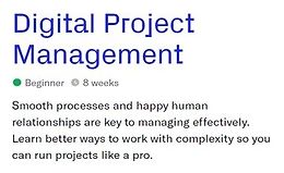 Digital Project Management logo