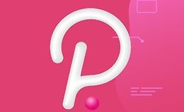 Экосистема Polkadot  logo