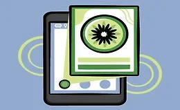 Flutter Hero Animations