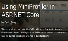 Использование MiniProfiler в ASP.NET Core