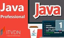 Java Professional