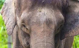 Изучайте SQL, используя PostgreSQL: с нуля до профи logo