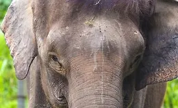 Изучайте SQL, используя PostgreSQL: с нуля до профи