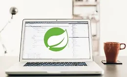 Изучите Spring 5, Boot 2, JPA, Thymeleaf, AOP, Web MVC, REST