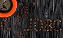  Java Database Connectivity (JDBC)