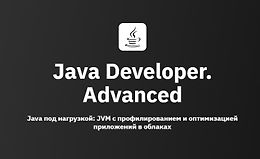 Java Developer. Advanced logo