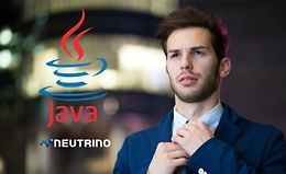 Java Foundations: Полное руководство с обновлениями Java 21 logo