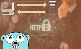 Как разработать HTTP-клиент на Golang (Go)