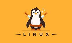 Linux Mastery: Изучите командную строку Linux за 11.5 часов