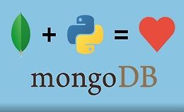 MongoDB для Python разработчиков  logo