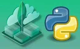 MongoDB Python - Полное практическое руководство 2021