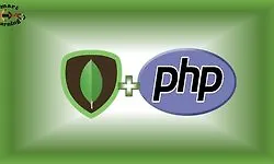 MongoDB с PHP - Создайте сайт OOP. Подготовьтесь к будущему.