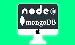 Node.js REST API с Express и MongoDB - Solid архитектура