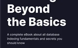 Полноценная книга, посвященная индексам баз данных