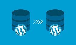 Полное руководство по миграции WordPress logo