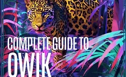 Полное руководство по Qwik