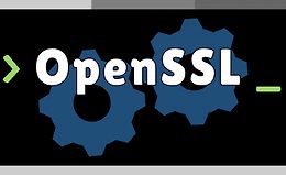 Практическое руководство по OpenSSL logo