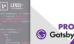 Pro Gatsby