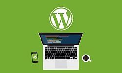 Продвинутые темы WordPress: Post Types Таксономии и Метабоксы logo