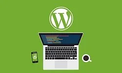 Продвинутые темы WordPress: Post Types Таксономии и Метабоксы