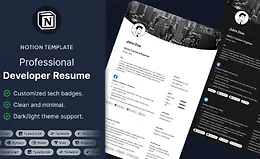 Профессиональное резюме разработчика