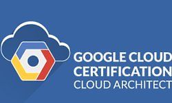 Профессиональный облачный архитектор Google Cloud Certified (Ранний доступ) logo