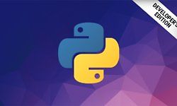 Программирование на Python для разработчиков logo