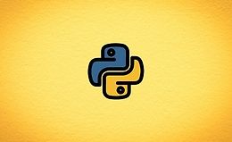 Python на бэкенде logo