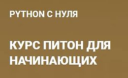 Python с нуля logo