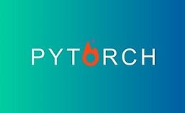 PyTorch для глубокого обучения и компьютерного зрения logo