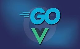 Работа с Vue 3 и Go (Golang) logo