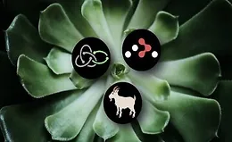 Продвинутое Тестирование React: Redux Saga и React Router