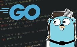 Разработка бэкенда на Go logo